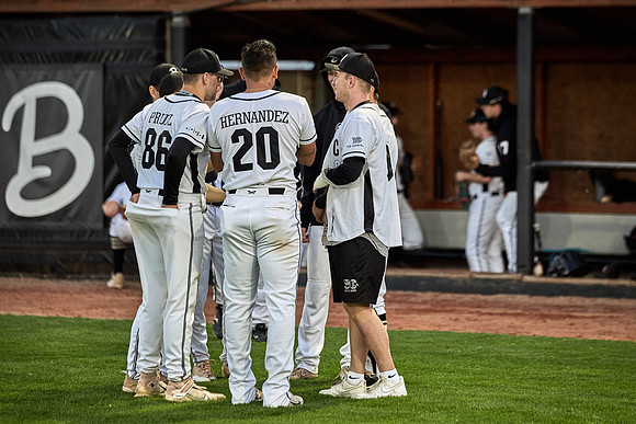 Czech Series Draci Brno vs Hroši Brno