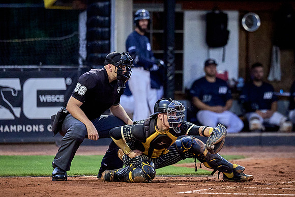 Czech Series Draci Brno vs Hroši Brno