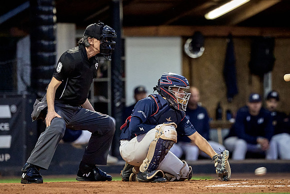 Czech Series Draci Brno vs Hroši Brno
