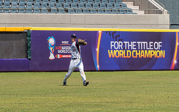 Grepl, outfield