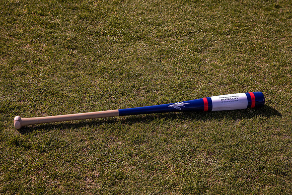 WBC Prep Day #1