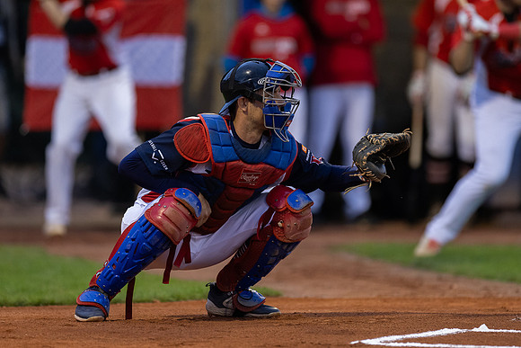 EUROBASEBALL 2023 - Group A - Czechia vs Austria