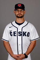 WBC profile pictures; Autor: MLB