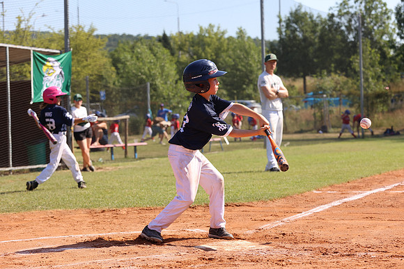 FirstCup 2026