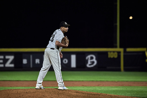 Czech Series Draci Brno vs Hroši Brno