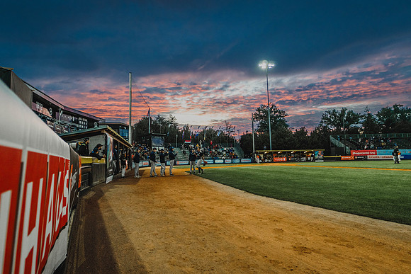 EUROBASEBALL 2023 - Group C - Netherlands vs France