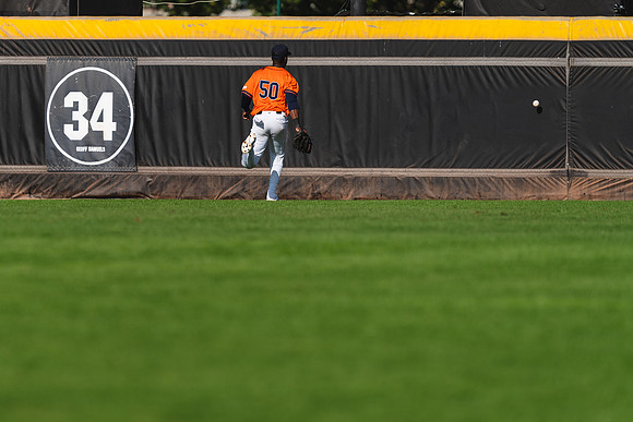 EUROBASEBALL 2023 - Bronz medal game - Netherlands vs Germany