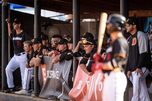 EUROBASEBALL 2023 - Bronz medal game - Netherlands vs Germany