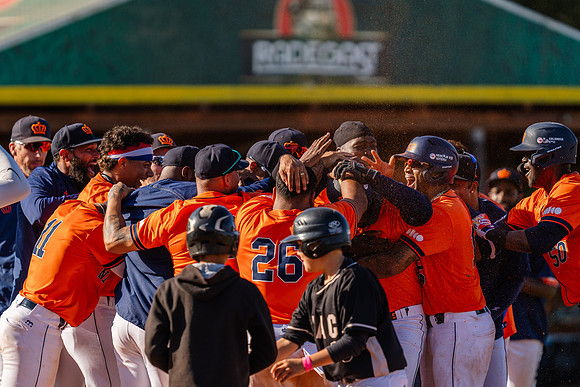 EUROBASEBALL 2023 - Bronz medal game - Netherlands vs Germany
