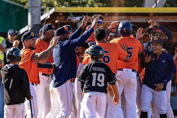 EUROBASEBALL 2023 - Bronz medal game - Netherlands vs Germany