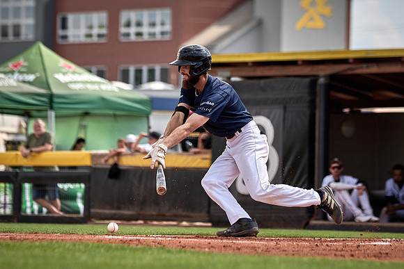 Czech Series Draci Brno vs Hroši Brno