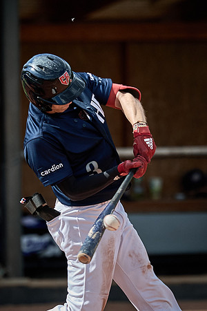 Czech Series Draci Brno vs Hroši Brno