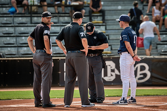 Czech Series Draci Brno vs Hroši Brno