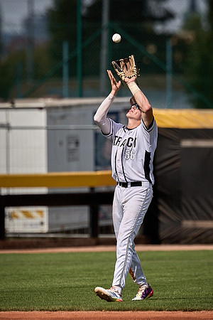 Czech Series Draci Brno vs Hroši Brno