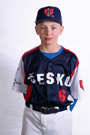 Alex Veselý
