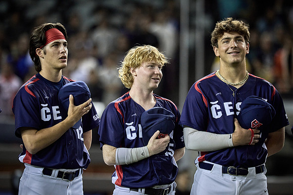 2024 Formosa Series - Czech Republic vs Team Taiwan - Game 2