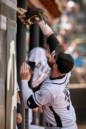Czech Series Draci Brno vs Hroši Brno