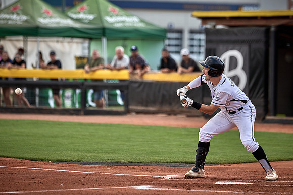 Czech Series Draci Brno vs Hroši Brno