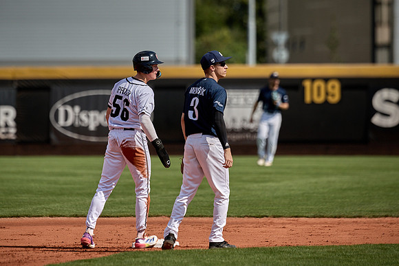 Czech Series Draci Brno vs Hroši Brno