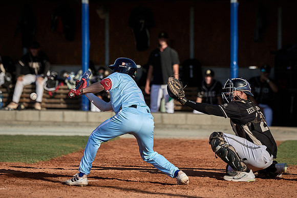 Czech Series Hroši Brno vs Draci Brno