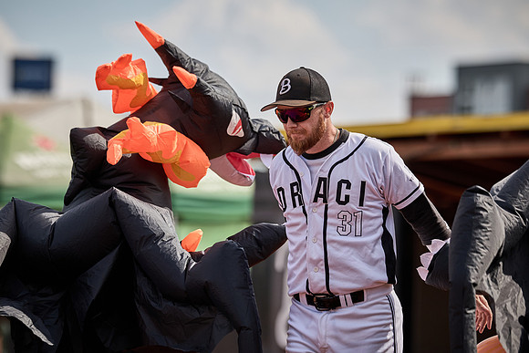 Czech Series Draci Brno vs Hroši Brno