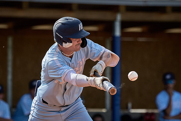 Czech Series Hroši Brno vs Draci Brno