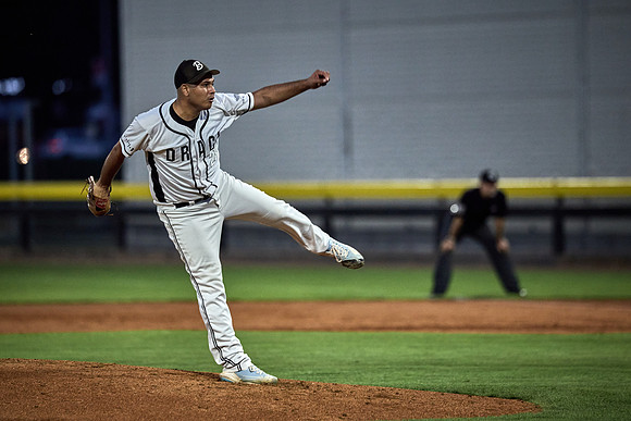 Czech Series Draci Brno vs Hroši Brno