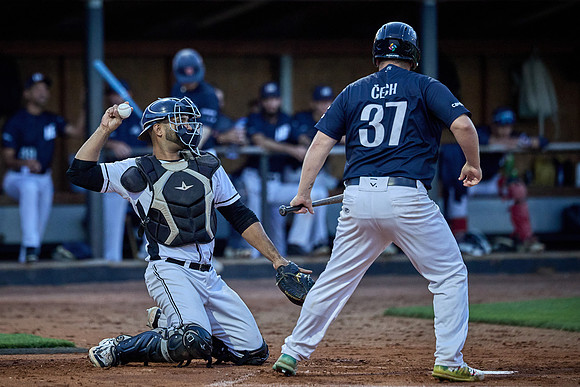 Czech Series Draci Brno vs Hroši Brno
