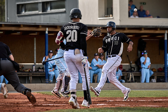 Czech Series Hroši Brno vs Draci Brno