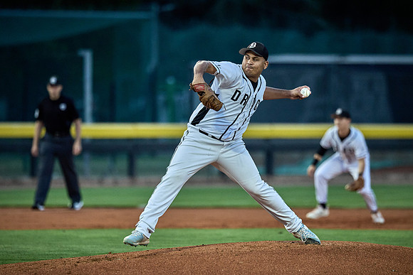 Czech Series Draci Brno vs Hroši Brno