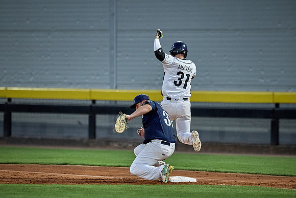 Czech Series Draci Brno vs Hroši Brno